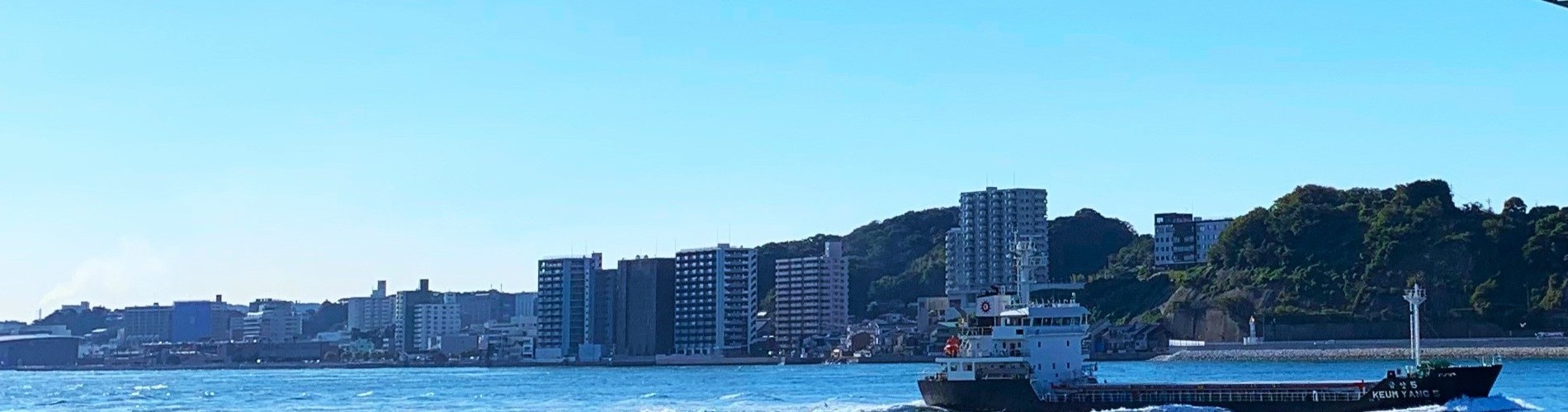A harbor and ships